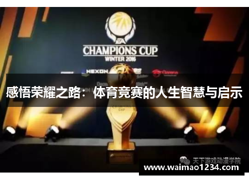 感悟荣耀之路：体育竞赛的人生智慧与启示